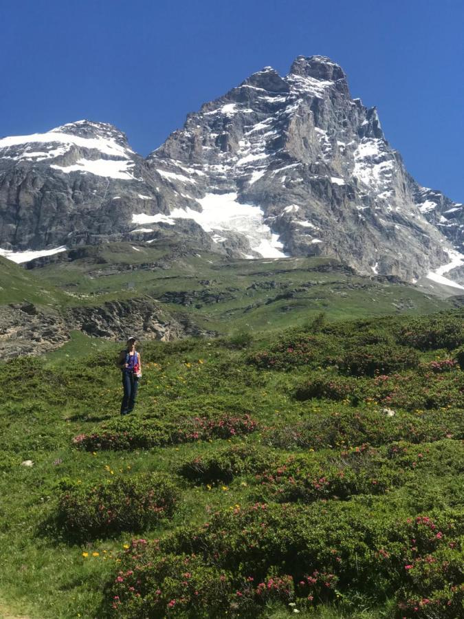 Piccolo Paradiso In Centro Cervinia ブレウイル・チェルヴィナイア エクステリア 写真